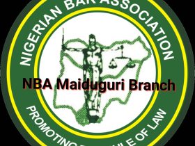 NBA Maiduguri Monitoring Team Report on #EndBadGovernance Protesters' Trial