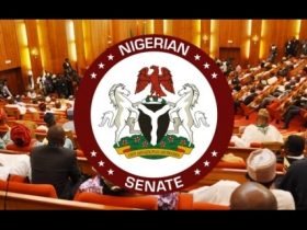 Nigerian Senators Divided Over Regionalism as Solution to National Challenges