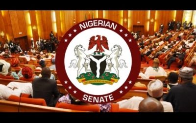 Nigerian Senators Divided Over Regionalism as Solution to National Challenges