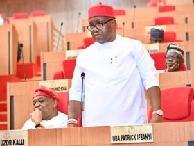 House of Representatives Adjourns Plenary to Honor Late Senator Ifeanyi Ubah