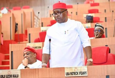 House of Representatives Adjourns Plenary to Honor Late Senator Ifeanyi Ubah