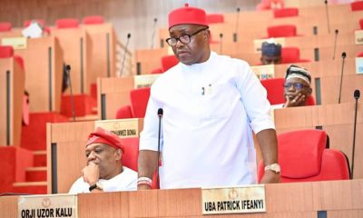 House of Representatives Adjourns Plenary to Honor Late Senator Ifeanyi Ubah