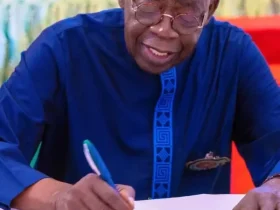 Tinubu Signs Bill Establishing National Center for Control of Small Arms and Light Weapons