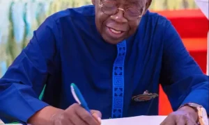 Tinubu Signs Bill Establishing National Center for Control of Small Arms and Light Weapons