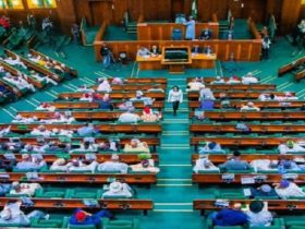 Reps Committee Probes EFCC, NCoS Over Bobrisky’s Allegations