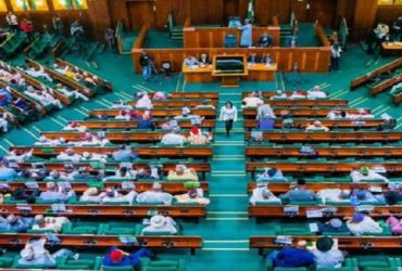 Reps Committee Probes EFCC, NCoS Over Bobrisky’s Allegations