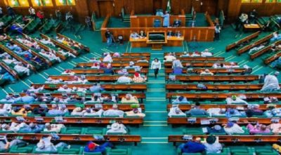 Reps Committee Probes EFCC, NCoS Over Bobrisky’s Allegations