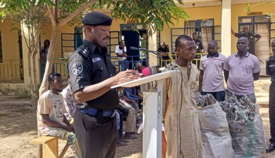 Katsina Police Arrest Man for Assault and Attempted Murder of 16-Year-Old Girl