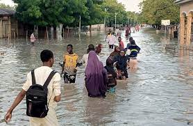 NBA Relief Efforts for Borno Flood Victims