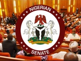 Senate Threatens Arrest Warrants for Top Officials Ignoring Summons