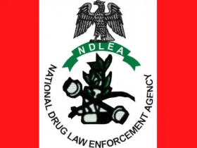 NDLEA Responds to Senator Ashiru's Criticism Amid Drug Allegations