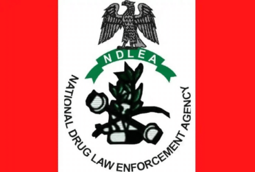 NDLEA Responds to Senator Ashiru's Criticism Amid Drug Allegations