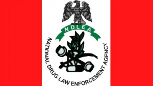 NDLEA Responds to Senator Ashiru's Criticism Amid Drug Allegations