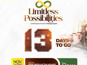 NBA Abuja Unity Bar Young Lawyers Forum Hosts Summit on Limitless Possibilities