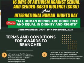 NBA 16 DAYS ACTIVISM AGAINST GENDER BASED VIOLENCE: Terms and Conditions For The Award.