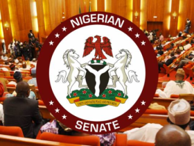 NDLEA: National Assembly Approves Life Imprisonment for Drug Traffickers