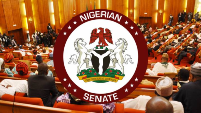 NDLEA: National Assembly Approves Life Imprisonment for Drug Traffickers