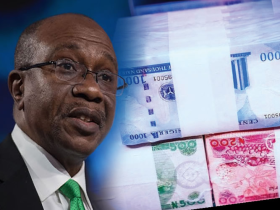 Emefiele: CBN Board Did Not Recommend Naira Redesign