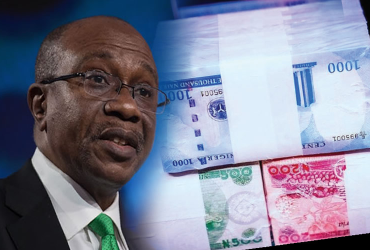 Emefiele: CBN Board Did Not Recommend Naira Redesign