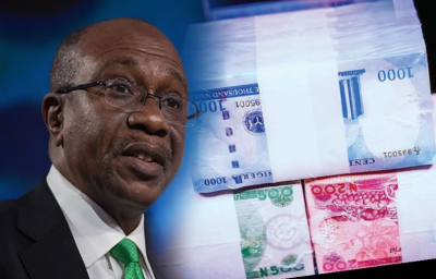 Emefiele: CBN Board Did Not Recommend Naira Redesign