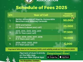 Nigerian Bar Association Payment for 2025 Annual Bar Practicing Fee