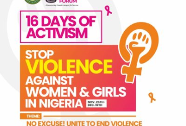 No Excuse for Violence: Empower the Female Lawyer