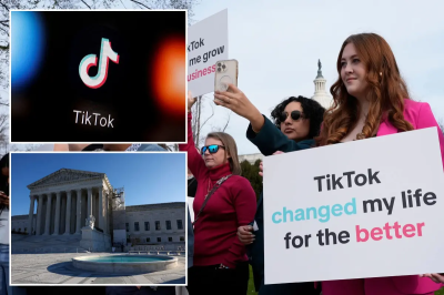 TikTok Turns to US Supreme Court in Last-Ditch Bid to Avert Ban