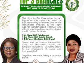 NBA Human Rights Institute Announces Top 3 Branches for Outstanding Results During the 16 Days of Activism!