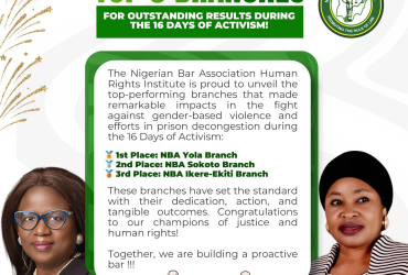 NBA Human Rights Institute Announces Top 3 Branches for Outstanding Results During the 16 Days of Activism!