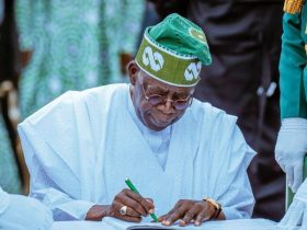 Key Bills Signed by President Tinubu in 2024: Education, Welfare, and Security Take Center Stage