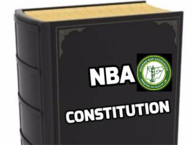 NBA Constitution Review: Call for Proposals and Contributions