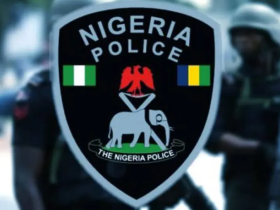 Firearms: Police Begin Monthly Audit of Ammunition Amid Rising Loss