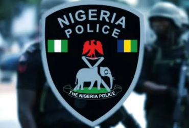 Firearms: Police Begin Monthly Audit of Ammunition Amid Rising Loss