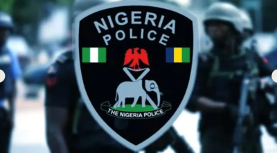 Firearms: Police Begin Monthly Audit of Ammunition Amid Rising Loss