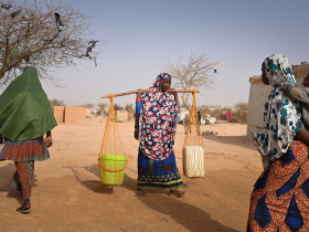 Woman Allegedly Kills Husband in Niger State Over Marital Discord