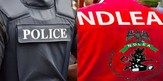 Gunfire Erupts in Bayelsa as Police Clash with NDLEA over Suspected Drug Dealer’s Arrest