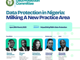 NBA Data Protection Committee Hosts Webinar on Emerging Practice Area