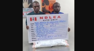 Two Nigerian Brothers Caught With Cocaine At Lagos Airport En Route To India