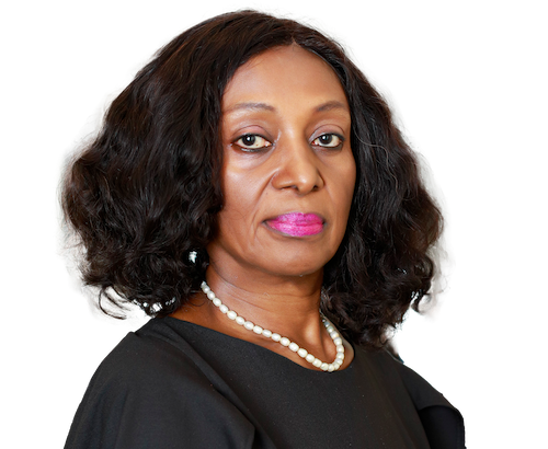 NBA ACJ Committee Flags Off Strategic Action Plan for Criminal Justice Reform