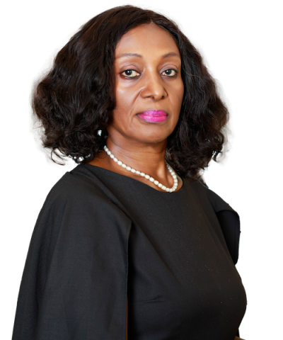 NBA ACJ Committee Flags Off Strategic Action Plan for Criminal Justice Reform