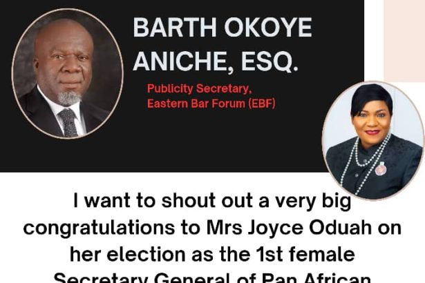 Barth Okoye Aniche, Esq. Celebrates Joyce Oduah’s Historic Election as First Female Secretary General of PALU