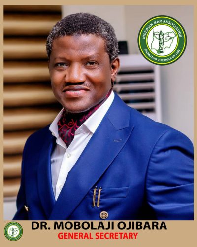 Dr. Mobolaji Ojibara to Speak at NBA Mentorship Welcome Program for New Wigs and Young Lawyers