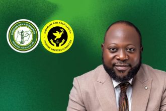 Prioritising Citizens’ Liberties by Securing Lives, Properties and Guaranteeing Welfarism: Nuhu J. Egya, Esq. Calls for Constitutional Benchmark in Governance
