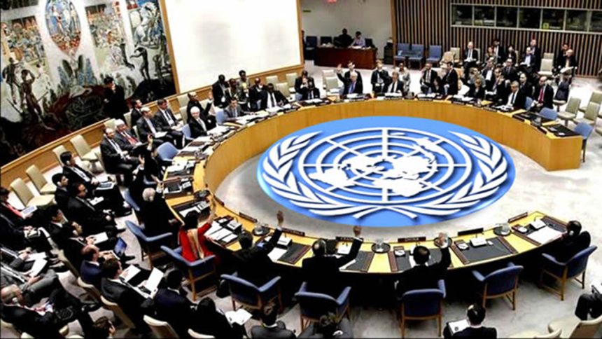 Nigeria Renews Demand for Permanent UN Security Council Seat, Calls for Global Reforms