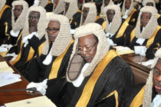 Precious Ovuede-Pela Congratulates Newly Sworn-In Senior Advocates of Nigeria