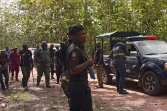 FCT Police Debunk Wedding Killings Report, Clarify Incident Occurred in Niger State
