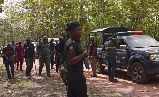 FCT Police Debunk Wedding Killings Report, Clarify Incident Occurred in Niger State