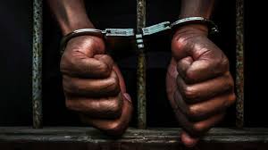FIDA Seeks Non-Custodial Sentencing, Skill Development For Juvenile Offenders