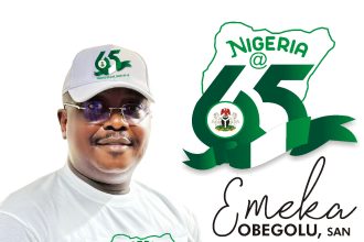 Emeka Obegolu, SAN,