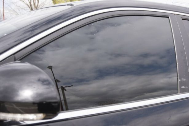 Maintain Status Quo on Tinted Permits, Court Orders Police